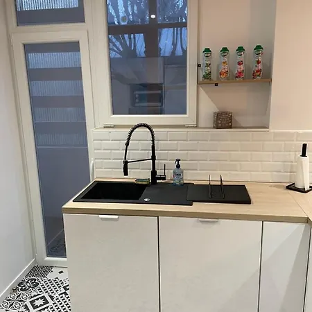 Apartament Du Lion