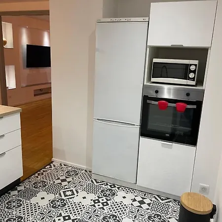 Du Lion Apartament