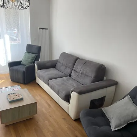 Du Lion Apartament